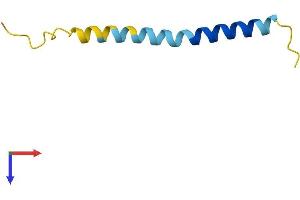 AlphaFold protein structure predicition of Human Recombinant SMCO4 Protein, UniprotID Q9NRQ5