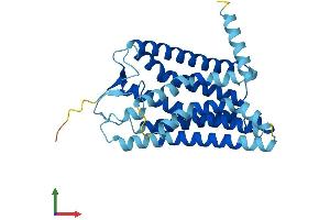 AlphaFold protein structure predicition of Human Recombinant OR4F6 Protein, UniprotID Q8NGB9 (OR4F6 Protein (AA 1-312) (His tag))