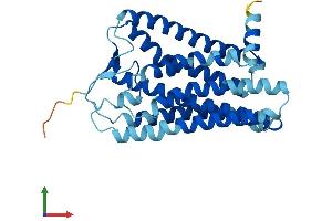 AlphaFold protein structure predicition of Human Recombinant OR4D2 Protein, UniprotID P58180