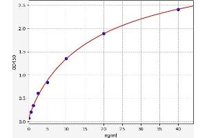 MST1L ELISA Kit