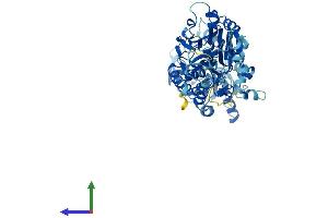 AlphaFold protein structure predicition of Mouse Recombinant Ints11 Protein, UniprotID Q9CWS4