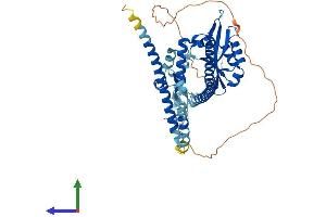 AlphaFold protein structure predicition of Mouse Recombinant Nup54 Protein, UniprotID Q8BTS4 (NUP54 Protein (AA 1-510) (His tag))