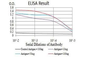 Black line: Control Antigen (100 ng),Purple line: Antigen (10 ng), Blue line: Antigen (50 ng), Red line:Antigen (100 ng) (ADAR antibody  (AA 1085-1223))