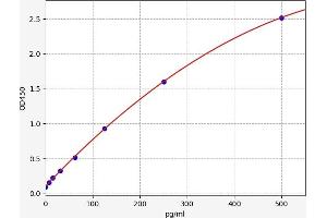 Typical standard curve (Decorin ELISA Kit)