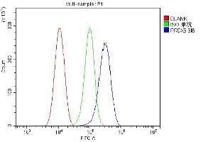 Flow Cytometry analysis of Hela cells using anti-PRDX6 antibody (ABIN7600102). (Peroxiredoxin 6 antibody  (AA 15-224))