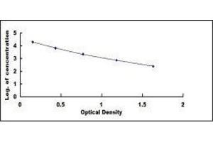 Prokineticin 2 (PROK2) ELISA Kit
