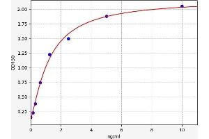 alpha 1 Adrenergic Receptor ELISA Kit