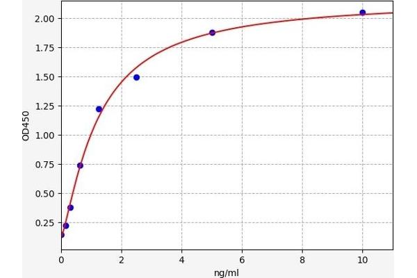 alpha 1 Adrenergic Receptor ELISA Kit