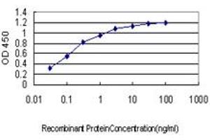 Detection limit for recombinant GST tagged IMPDH1 is approximately 0. (IMPDH1 antibody  (AA 201-300))