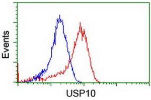 Image no. 12 for anti-Ubiquitin Specific Peptidase 10 (USP10) antibody (ABIN1501687) (USP10 antibody)