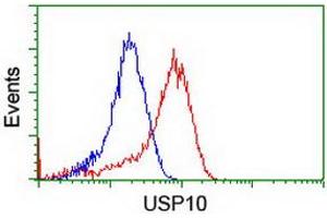 USP10 antibody