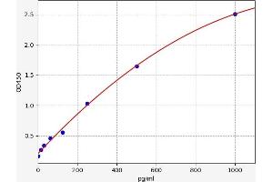Tumor Necrosis Factor (Ligand) Superfamily, Member 10 (TNFSF10) ELISA Kit