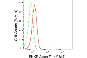 Flow cytometric analysis of PNKP expression in HT- cells using PNKP antibody (ABIN7799881), 1:2,000). (Recombinant PNKP antibody)