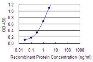 Detection limit for recombinant GST tagged MAGEA2 is 0. (MAGEA2 antibody  (AA 1-314))