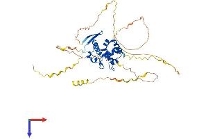 AlphaFold protein structure predicition of Human Recombinant ARID3C Protein, UniprotID A6NKF2 (ARID3C Protein (AA 1-412) (His tag))