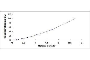 Typical standard curve (APEX1 ELISA Kit)