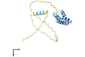 AlphaFold protein structure predicition of Human Recombinant CT45A1 Protein, UniprotID Q5HYN5 (CT45A1 Protein (AA 1-189) (His tag))