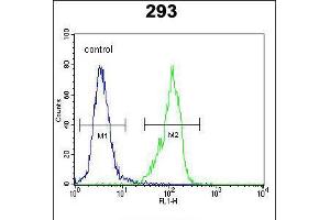 Flow cytometric analysis of 293 cells (right histogram) compared to a negative control cell (left histogram). (GAL antibody  (C-Term))