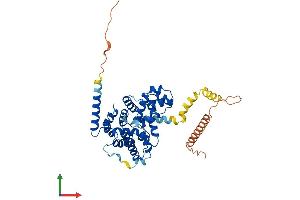 Protein Structure (PS) image for TBC1 Domain Family, Member 20 (TBC1D20) (AA 1-403) protein (His tag) (ABIN7544355)