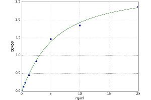 SH3-Domain Binding Protein 2 (SH3BP2) ELISA Kit