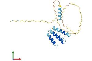 AlphaFold protein structure predicition of Human Recombinant CT45A3 Protein, UniprotID Q8NHU0 (CT45A3 Protein (AA 1-189) (His tag))