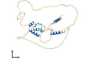 AlphaFold protein structure predicition of Mouse Recombinant Caap1 Protein, UniprotID Q8VDY9