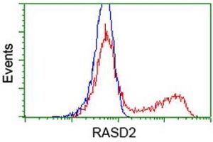 HEK293T cells transfected with either RC201454 overexpress plasmid (Red) or empty vector control plasmid (Blue) were immunostained by anti-RASD2 antibody (ABIN2453960), and then analyzed by flow cytometry. (RASD2 antibody)