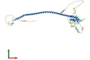 Protein Structure (PS) image for ATG14 Autophagy Related 14 (ATG14) (AA 1-492) protein (His tag) (ABIN7564545)