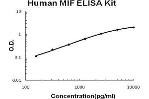 Human MIF PicoKine ELISA Kit standard curve (MIF ELISA Kit)