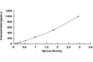 Typical standard curve (Interferon gamma ELISA Kit)