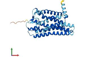 AlphaFold protein structure predicition of Human Recombinant OR1A2 Protein, UniprotID Q9Y585