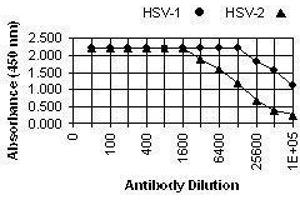 ELISA image for anti-Herpes Simplex Virus, Glycoprotein B (HSV gB) antibody (ABIN265573) (HSV gB antibody)