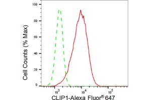 Flow cytometric analysis of CLIP1 expression in HepG2 cells using CLIP1 antibody (ABIN7797861), 1:2,000).