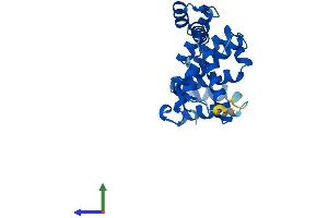 AlphaFold protein structure predicition of Mouse Recombinant Gid8 Protein, UniprotID Q9D7M1