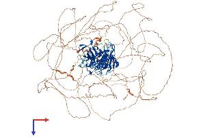 AlphaFold protein structure predicition of Human Recombinant USP42 Protein, UniprotID Q9H9J4 (USP42 Protein (AA 1-1324) (His tag))