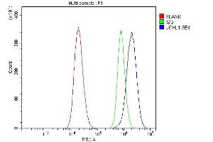 Flow Cytometry analysis of 293T cells using anti-PGP9. (UCHL1 antibody  (C-Term))