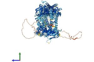 Protein Structure (PS) image for ATP-Binding Cassette, Sub-Family C (CFTR/MRP), Member 1 (ABCC1) (AA 1-1528) protein (His tag) (ABIN7562308)