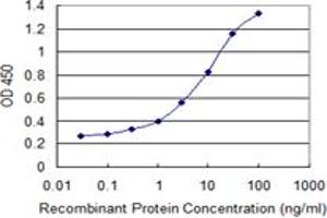 Detection limit for recombinant GST tagged VPS26A is 0. (VPS26A antibody  (AA 228-327))