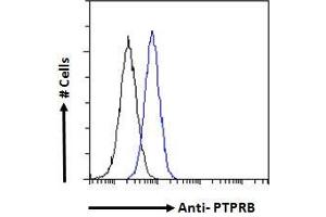 ABIN570874 Flow cytometric analysis of paraformaldehyde fixed A431 cells (blue line), permeabilized with 0. (PTPRB antibody  (Internal Region))