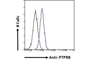 ABIN570874 Flow cytometric analysis of paraformaldehyde fixed A431 cells (blue line), permeabilized with 0.