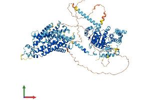 Protein Structure (PS) image for Solute Carrier Family 12 (Sodium/potassium/chloride Transporters), Member 1 (SLC12A1) (AA 1-1099) protein (His tag) (ABIN7555340)