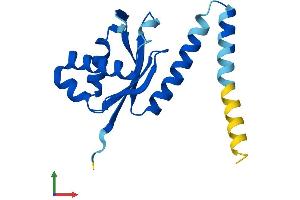 Protein Structure (PS) image for Processing of Precursor 5, Ribonuclease P/MRP Subunit (POP5) (AA 1-163) protein (His tag) (ABIN7550840)