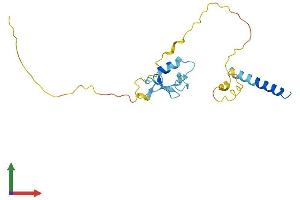 AlphaFold protein structure predicition of Human Recombinant RNF185 Protein, UniprotID Q96GF1
