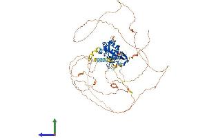 Protein Structure (PS) image for T-Box 2 (TBX2) (AA 1-711) protein (His tag) (ABIN7557597)