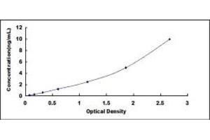 Typical standard curve (RAF1 ELISA Kit)