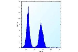 ABI2 antibody flow cytometric analysis (intracellular) of Jurkat cells (right histogram) compared to a negative control (left histogram). (ABI2 antibody  (AA 1-30))