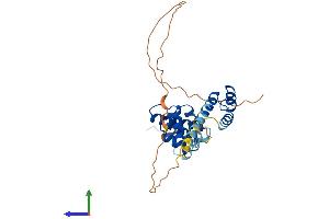 AlphaFold protein structure predicition of Human Recombinant SIX1 Protein, UniprotID Q15475 (SIX Homeobox 1 Protein (SIX1) (AA 1-284) (His tag))