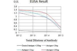 Black line: Control Antigen (100 ng),Purple line: Antigen (10 ng), Blue line: Antigen (50 ng), Red line:Antigen (100 ng) (VCAM1 antibody  (AA 25-183))