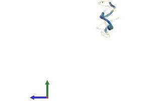 AlphaFold protein structure predicition of Human Recombinant HMMR Protein, UniprotID O75330 (HMMR Protein (AA 1-724) (His tag))
