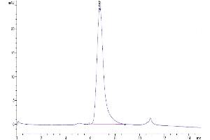 The purity of Biotinylated Human FGFR1 alpha (IIIc) is greater than 95 % as determined by SEC-HPLC. (FGFR-1 Alpha(IIIc) (AA 22-374) protein (His-Avi Tag,Biotin))